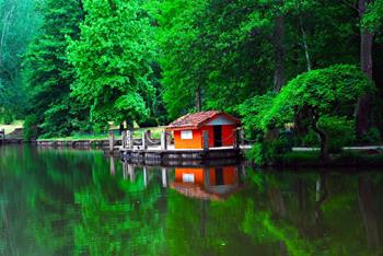 Atatürk Arboretumu