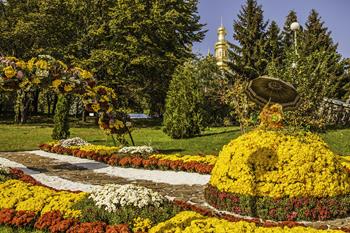 Autumn's Colors and Chrysanthemum Fest