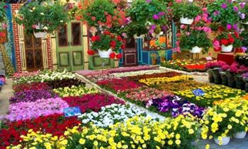Bağdat Çiçek Festivali