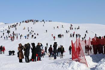 Bingöl Hesarek Festivali