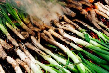 Calçots