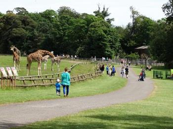 Fota Wildlife Park