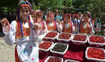 Geleneksel Yağlı Pehlivan ve Kiraz Festivali