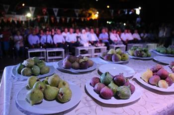 Hatay İncir Festivali 