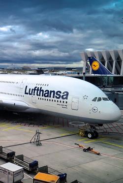 Lufthansa Evcil Hayvan Taşıma
