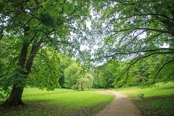 Maksimir Park