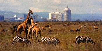 Nairobi Ulusal Parkı