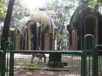 Ragunan Zoo