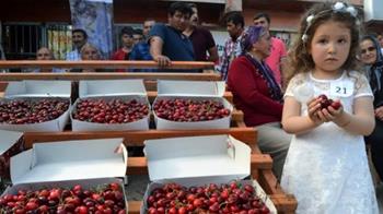 Saimbeyli Kültür Sanat ve Kiraz Festivali 