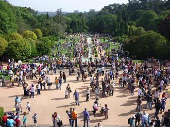 Serralves em Festa