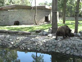 Timisoara Zoo