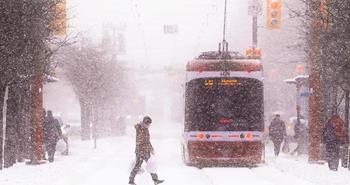 Toronto'ya Ne Zaman Gidilir? - Hava Durumu - İklim