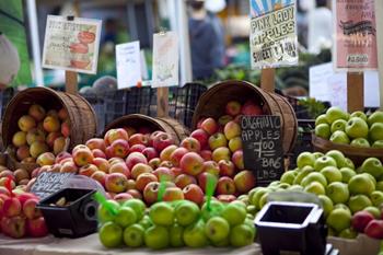 Wasatch International Food Festival