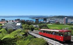 Wellington'da Festivaller - Fuarlar - Önemli Günler